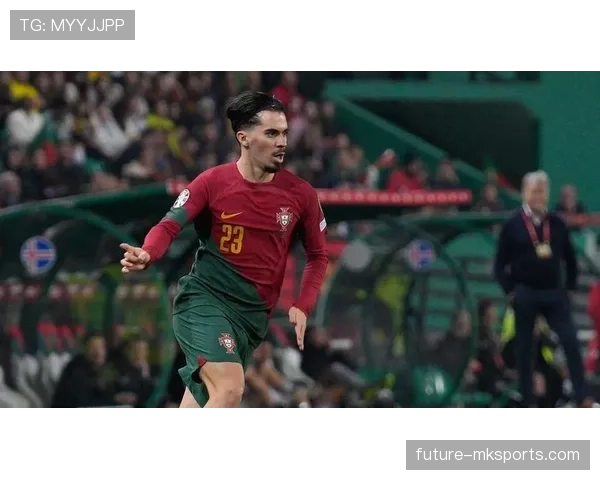 维蒂尼亚在葡萄牙国家队的战术角色：关键一环还是作用被高估？