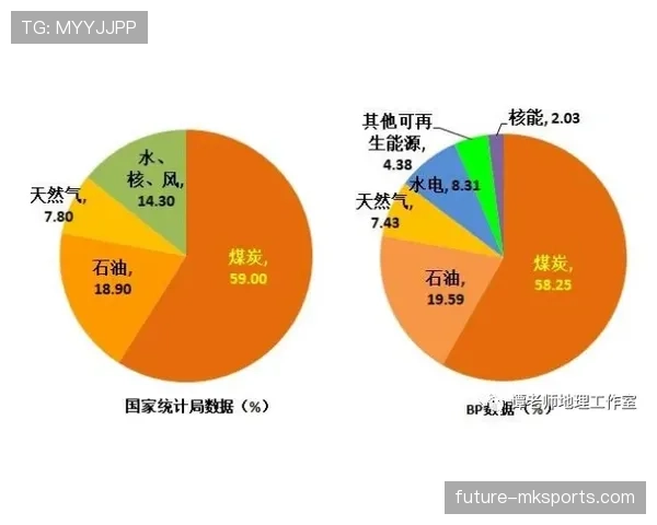 维尔茨与厄德高组织效率对比分析 维尔茨与厄德高组织效率对比分析